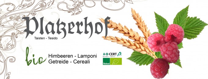 Platzerhof Taisten_Logos-Getreide_Himbeeren_680x260